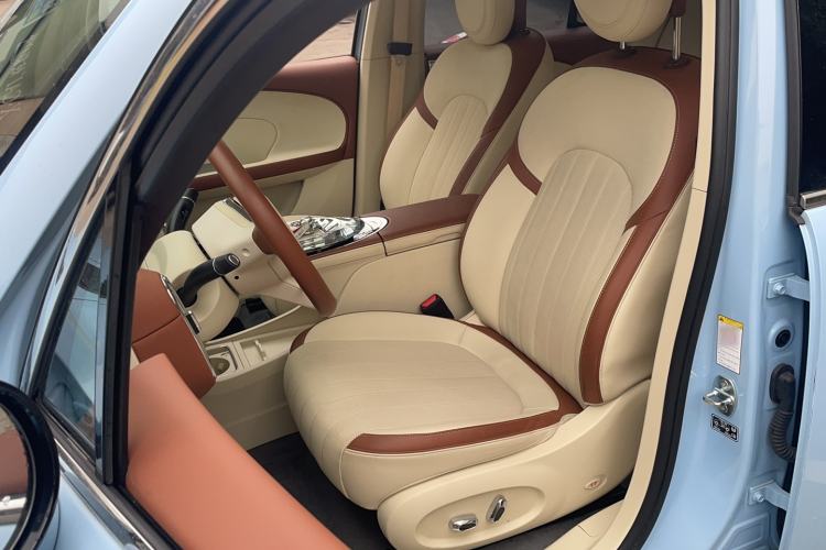 Used ORA Ballet Cat 2023 401 km Luxury Version Left Front Seat