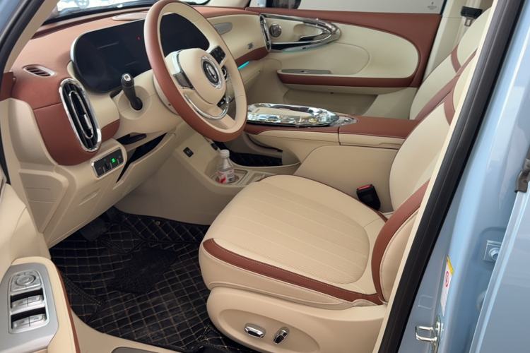 Used ORA Ballet Cat 2023 401 km Luxury Version Left Front Seat
