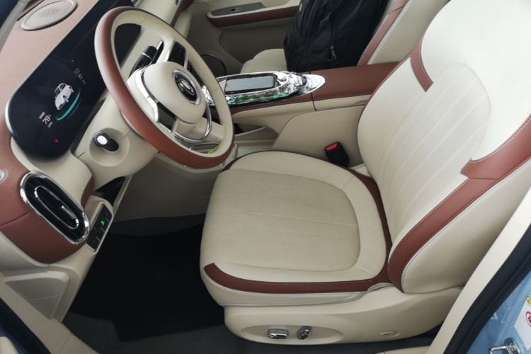 Used ORA Ballet Cat 2023 401 km Luxury Version Left Front Seat