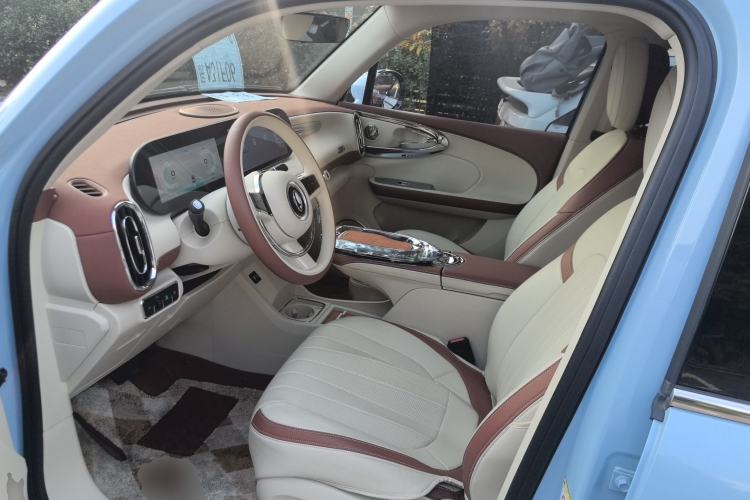 Used ORA Ballet Cat 2023 401 km Luxury Version Left Front Seat