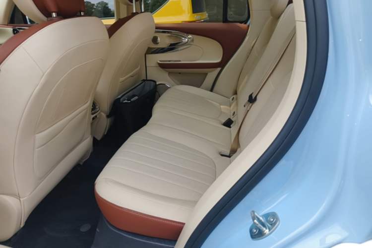 Used ORA Ballet Cat 2023 401 km Luxury Version Left Rear Seat