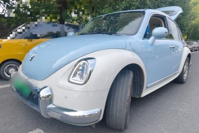Used ORA Ballet Cat 2023 401 km Luxury Version