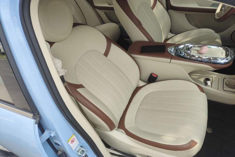 Used ORA Ballet Cat 2023 401 km Luxury Version Right Front Seat