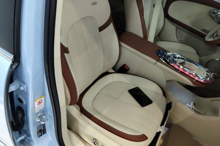 Used ORA Ballet Cat 2023 401 km Luxury Version Right Front Seat