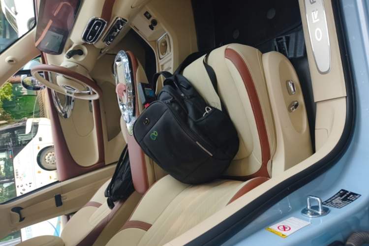 Used ORA Ballet Cat 2023 401 km Luxury Version Right Front Seat