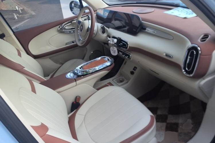 Used ORA Ballet Cat 2023 401 km Luxury Version Right Front Seat