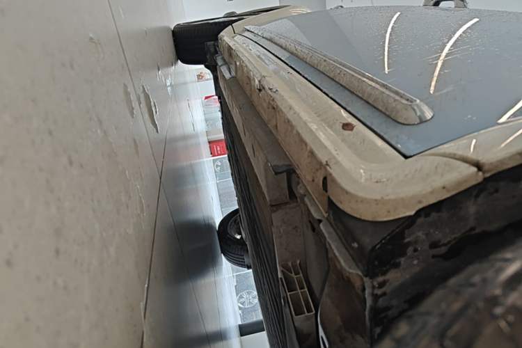 Used ORA Ballet Cat 2023 401 km Luxury Version Right Side Sill