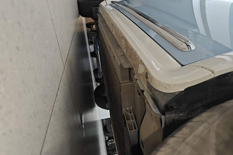 Used ORA Ballet Cat 2023 401 km Luxury Version Right Side Sill