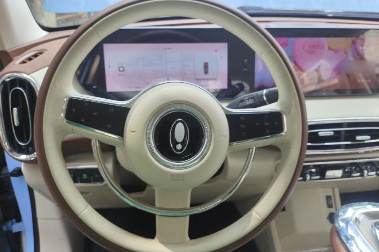 Used ORA Ballet Cat 2023 401 km Luxury Version Steering Wheel