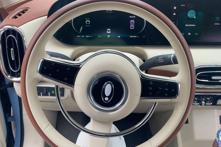 Used ORA Ballet Cat 2023 401 km Luxury Version Steering Wheel