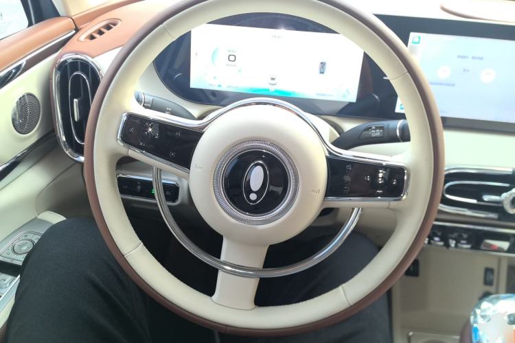 Used ORA Ballet Cat 2023 401 km Luxury Version Steering Wheel
