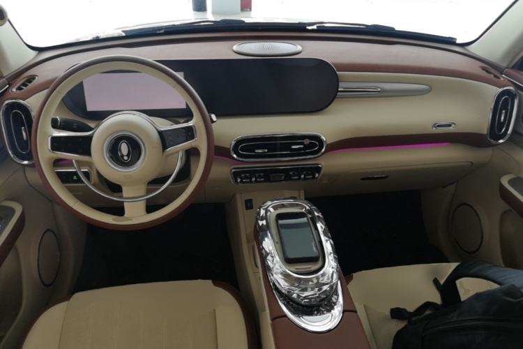 Used ORA Ballet Cat 2023 401 km Luxury Version Center Console