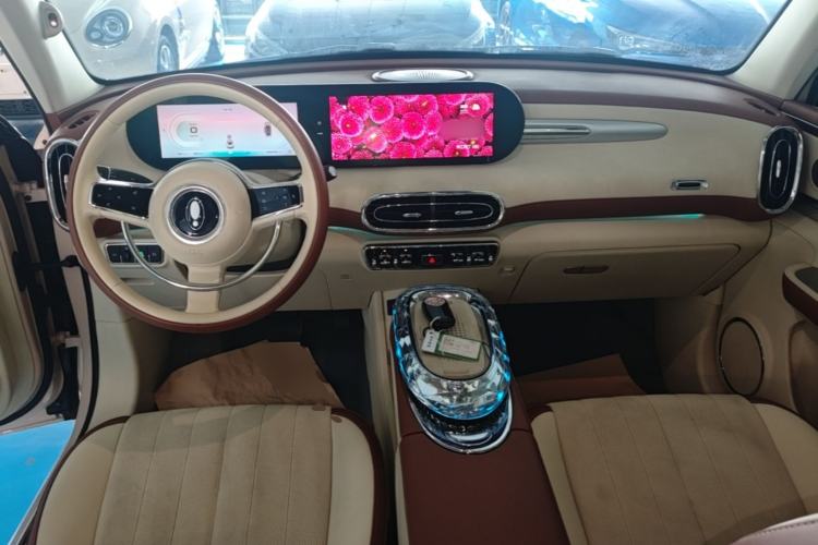 Used ORA Ballet Cat 2023 401 km Luxury Version Center Console