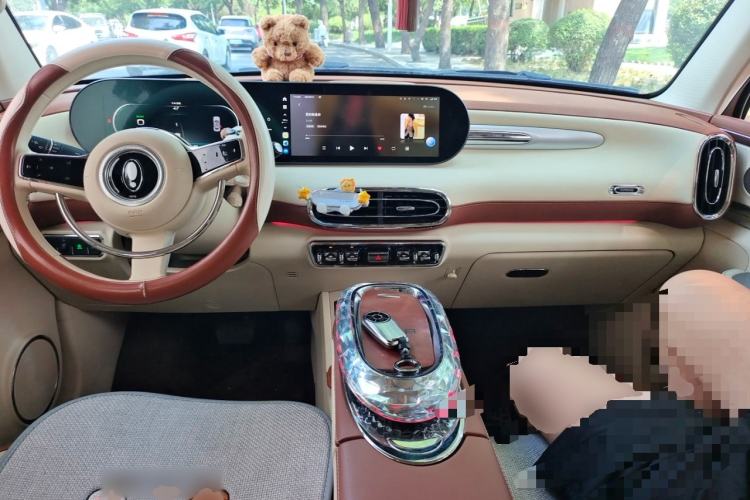 Used ORA Ballet Cat 2023 401 km Luxury Version Center Console
