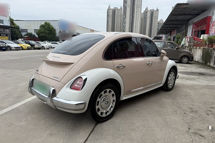 Used ORA Ballet Cat 2023 401 km Luxury Version Exterior 5