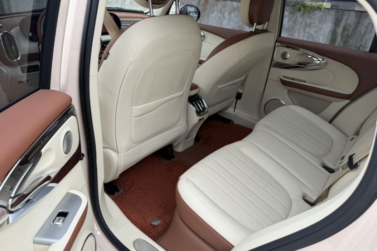 Used ORA Ballet Cat 2023 401 km Luxury Version Interior 1