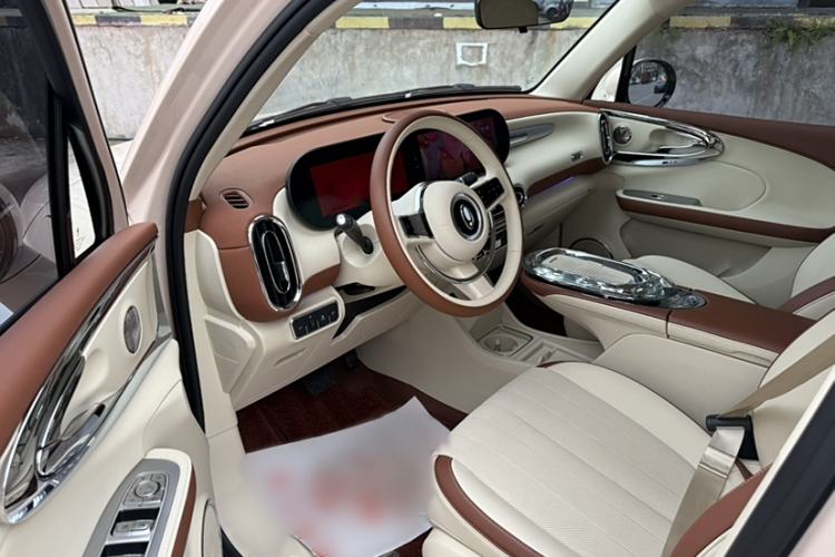 Used ORA Ballet Cat 2023 401 km Luxury Version Interior 3