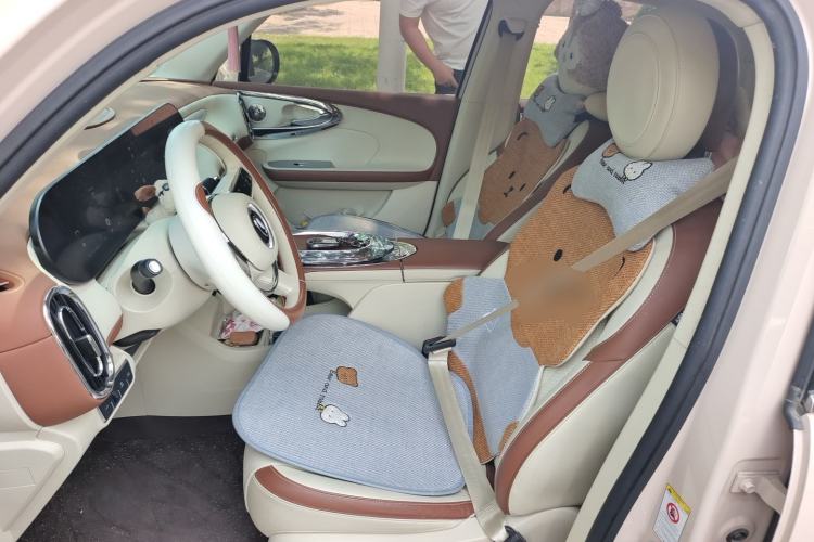 Used ORA Ballet Cat 2023 401 km Luxury Version Left Front Seat