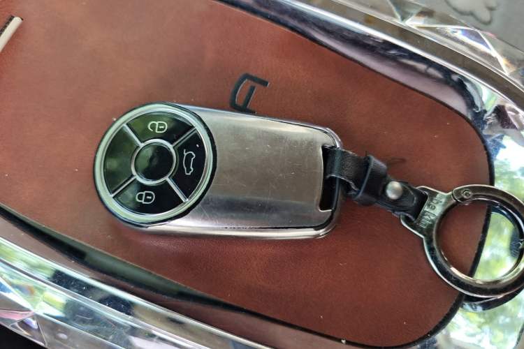 Used ORA Ballet Cat 2023 401 km Luxury Version Vehicle Key
