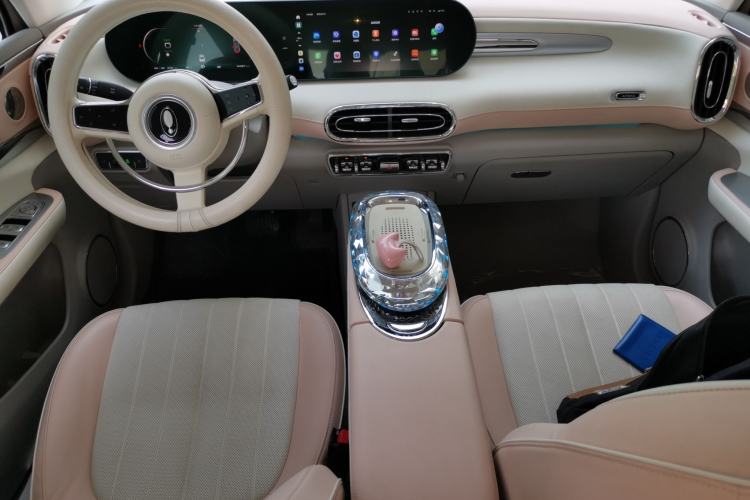 Used ORA Ballet Cat 2023 401 km Luxury Version Center Console