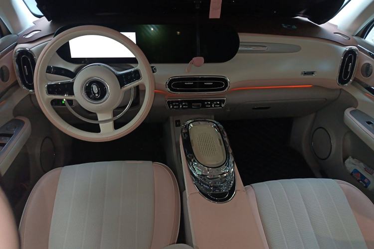 Used ORA Ballet Cat 2023 401 km Luxury Version Center Console