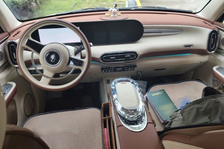 Used ORA Ballet Cat 2023 401 km Luxury Version Center Console