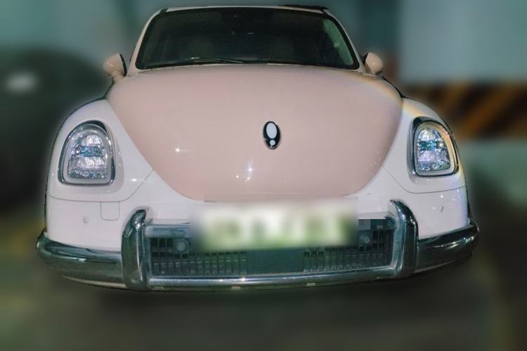 Used ORA Ballet Cat 2023 401 km Luxury Version Front