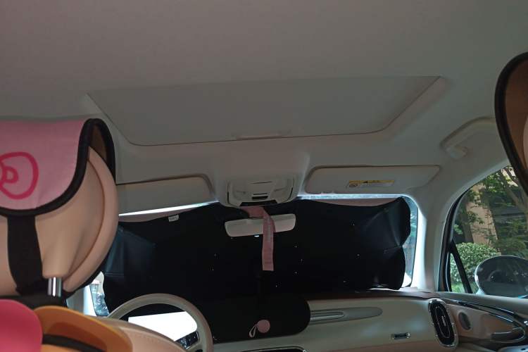 Used ORA Ballet Cat 2023 401 km Luxury Version Headliner