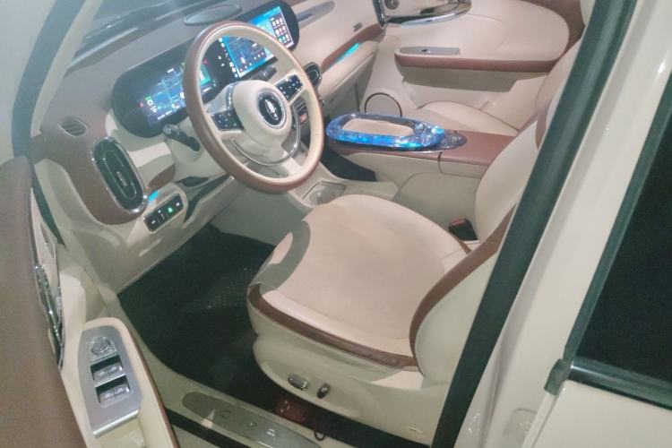 Used ORA Ballet Cat 2023 401 km Luxury Version Left Front Seat