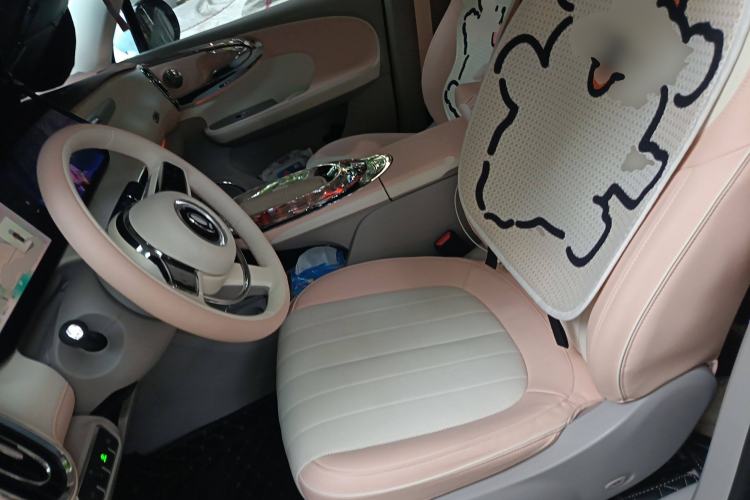 Used ORA Ballet Cat 2023 401 km Luxury Version Left Front Seat