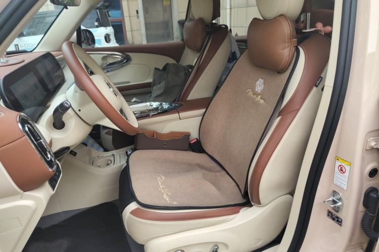 Used ORA Ballet Cat 2023 401 km Luxury Version Left Front Seat