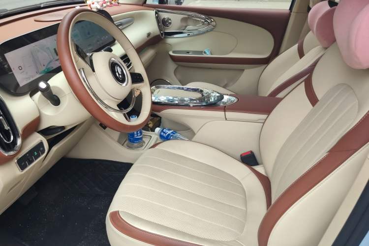 Used ORA Ballet Cat 2023 401 km Luxury Version Left Front Seat