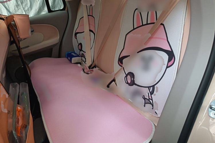 Used ORA Ballet Cat 2023 401 km Luxury Version Left Rear Seat