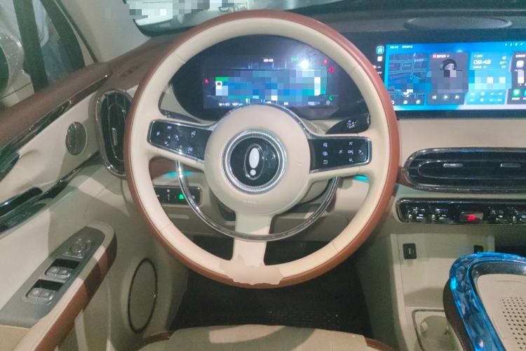 Used ORA Ballet Cat 2023 401 km Luxury Version Steering Wheel