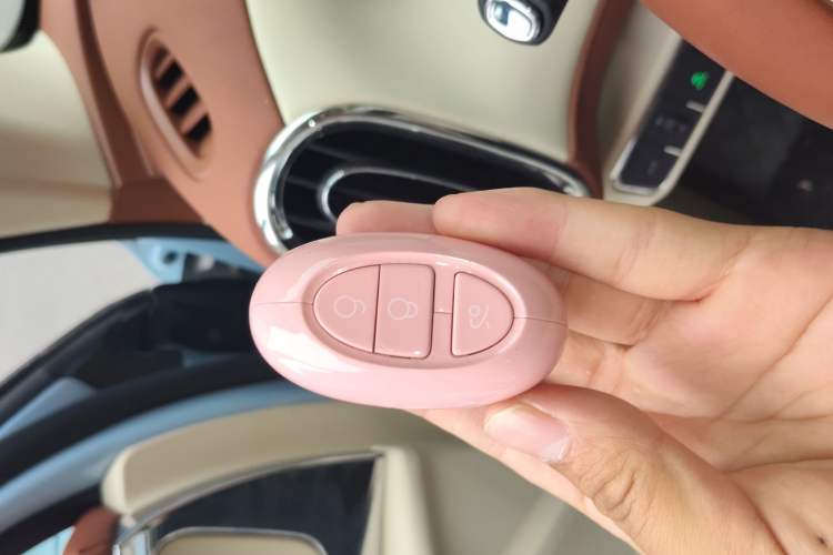 Used ORA Ballet Cat 2023 401 km Luxury Version Vehicle Key