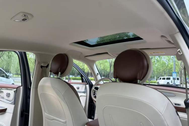 Used ORA Ballet Cat 2023 401 km Luxury Version Headliner
