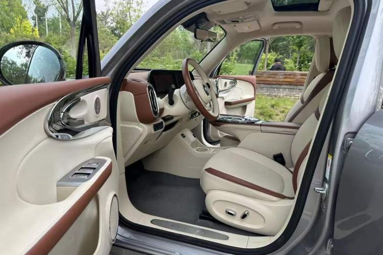 Used ORA Ballet Cat 2023 401 km Luxury Version Left Front Seat