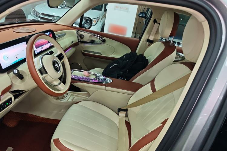Used ORA Ballet Cat 2023 401 km Luxury Version Left Front Seat