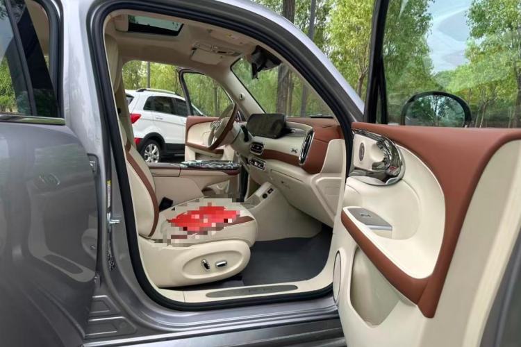 Used ORA Ballet Cat 2023 401 km Luxury Version Right Front Seat