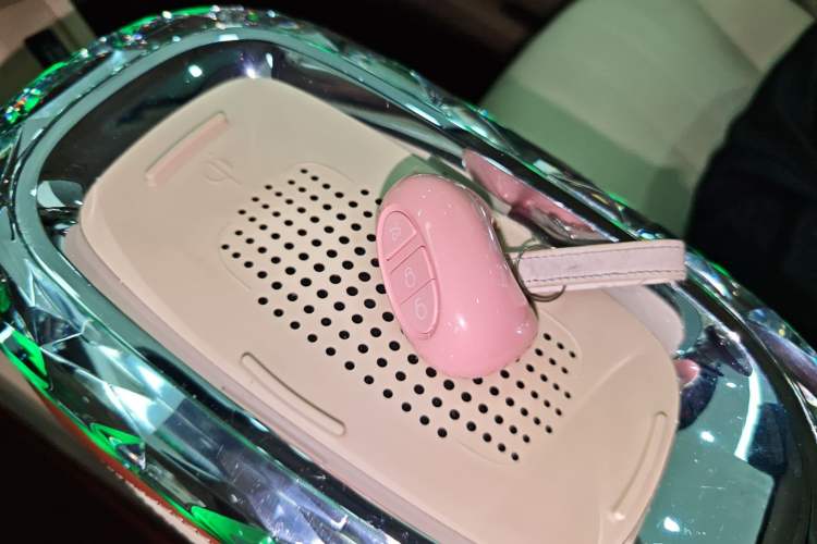 Used ORA Ballet Cat 2023 401 km Luxury Version Vehicle Key