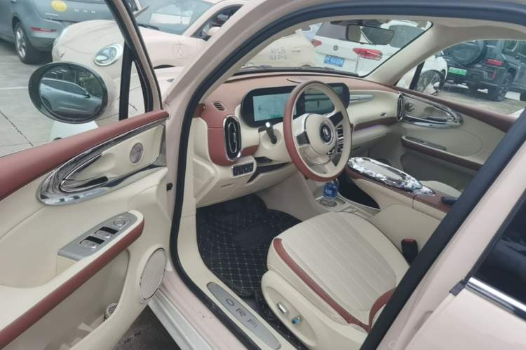 Used ORA Ballet Cat 2023 401 km Luxury Version Driver Seat
