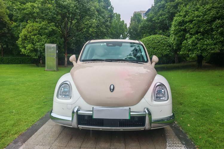 Used ORA Ballet Cat 2023 401 km Luxury Version Exterior 1