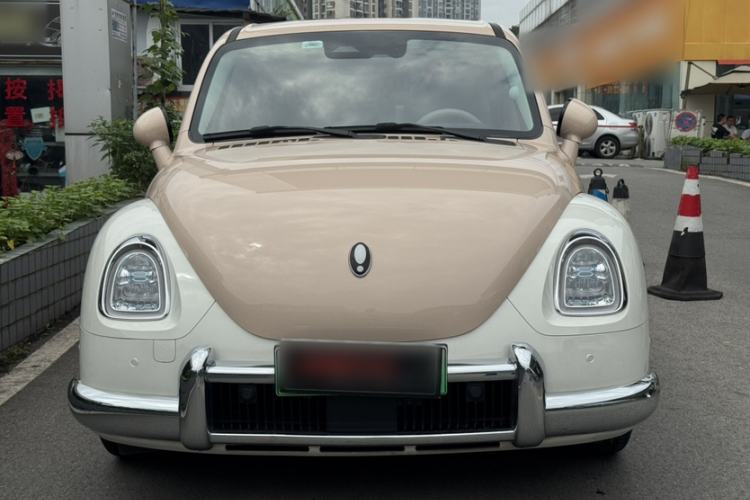 Used ORA Ballet Cat 2023 401 km Luxury Version Exterior 5