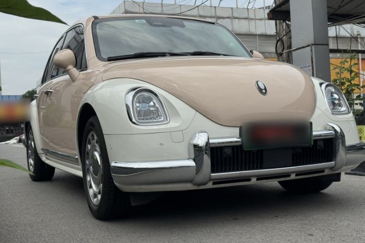 Used ORA Ballet Cat 2023 401 km Luxury Version Exterior 8