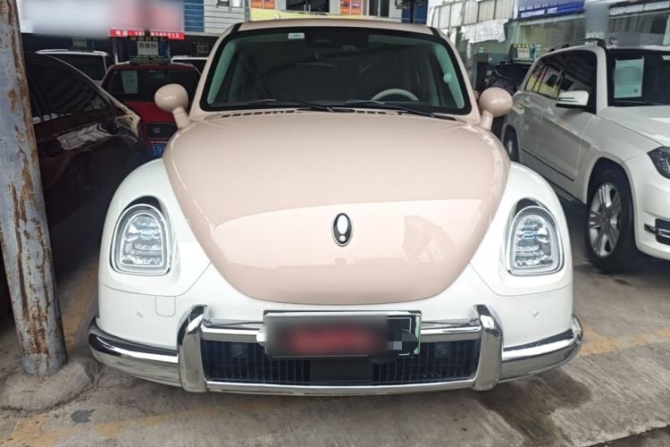 Used ORA Ballet Cat 2023 401 km Luxury Version Front