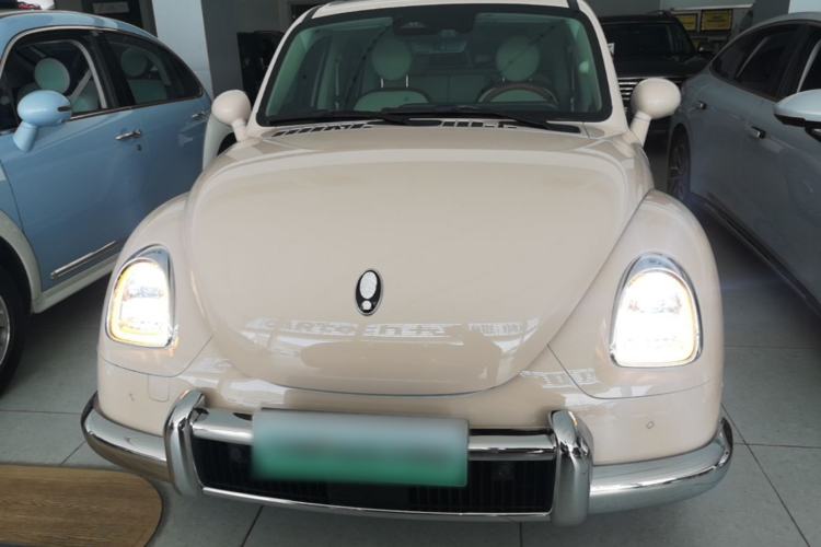 Used ORA Ballet Cat 2023 401 km Luxury Version Front