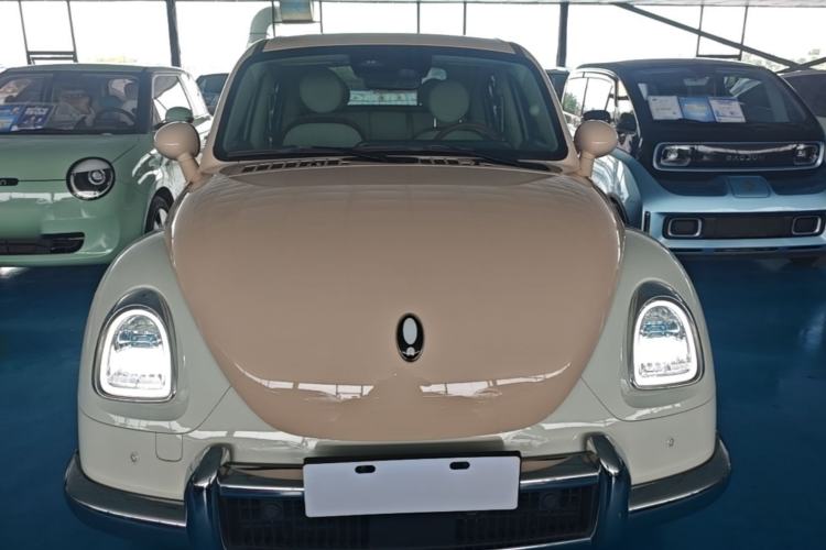 Used ORA Ballet Cat 2023 401 km Luxury Version Front