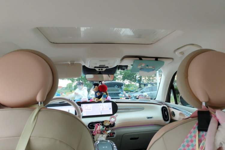 Used ORA Ballet Cat 2023 401 km Luxury Version Headliner