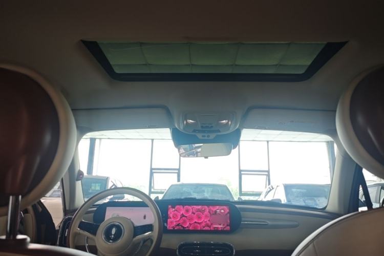 Used ORA Ballet Cat 2023 401 km Luxury Version Headliner