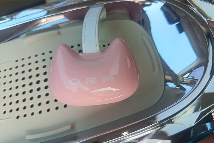 Used ORA Ballet Cat 2023 401 km Luxury Version Interior 1